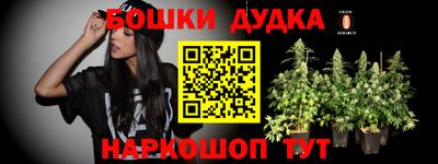 молекула духа Магадан