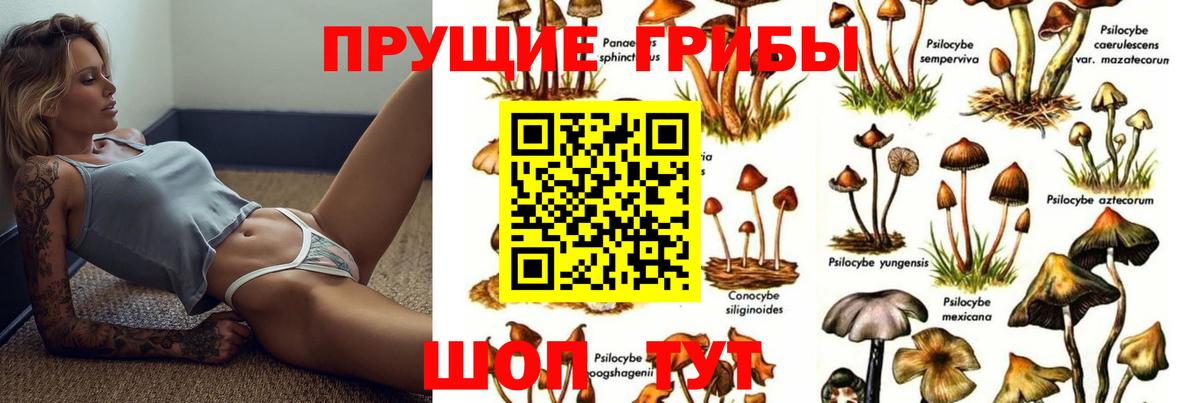 Галлюциногенные грибы мицелий Белая Калитва